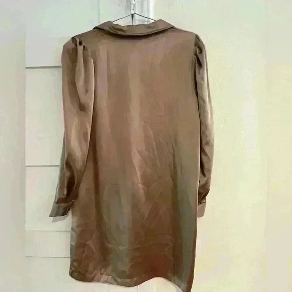 Rachel Zoe Champagne Satin Long Sleeve V Neck Shift Dress- Size Small- EUC - Picture 4 of 6